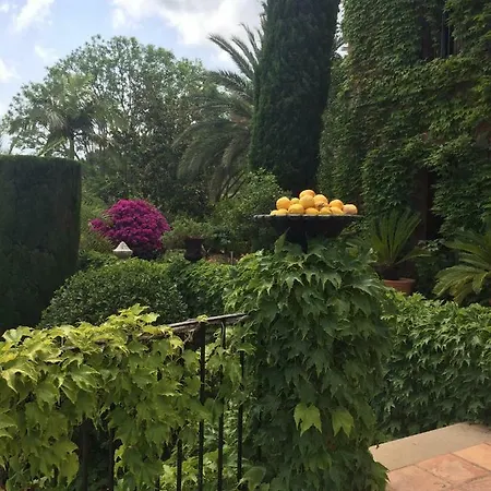 Avienda Paris2 * خافييا